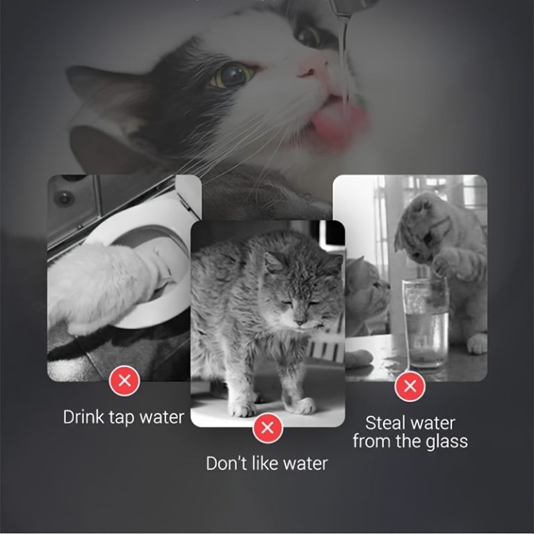 fontaine-a-eau-intelligente-pour-chat-ultra-silencieuse-et-transparente